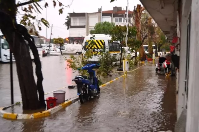 Ayvalık'ta Hortum Ağaçları Devirdi, Çatıları Uçurdu Ayvalık'ta Hortum Ağaçları Devirdi, Çatıları Uçurdu