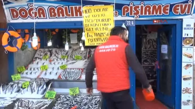 100 Dolar Bozdurana Balıkçı Esnafından 1 Kilo Hamsi Bedava