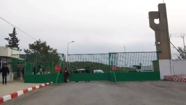 Akkuyu Nükleer Santrali'nde İnceleme Tamamlandı