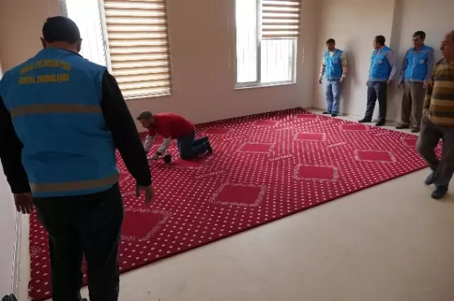 Haliliye Belediyesi Okulları Halı ile Donattı