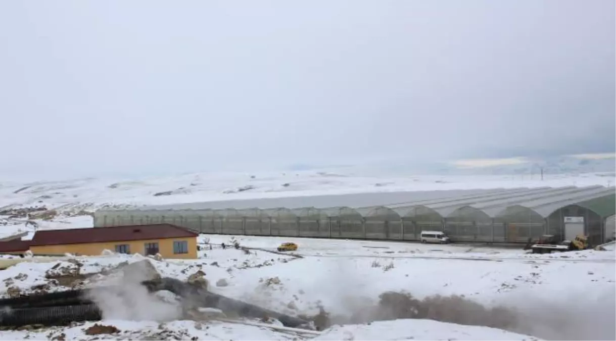Sibirya Soğuklarında Sera Üretimi