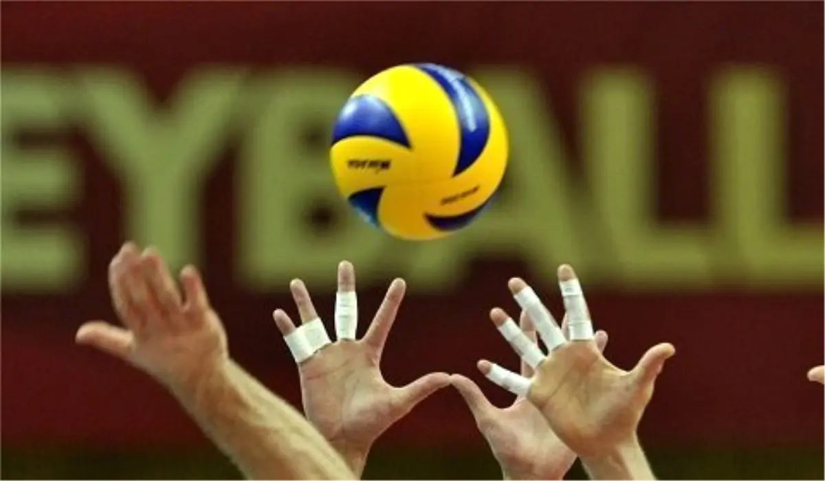 Voleybol: Efeler Ligi