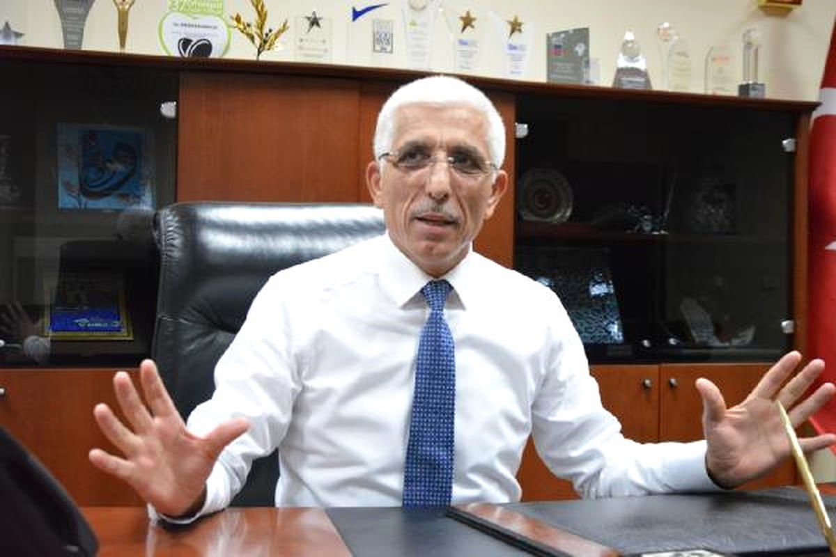 Türkiye 170 Milyon Zeytin Ağacı ile Dünyada 2'nci Sırada