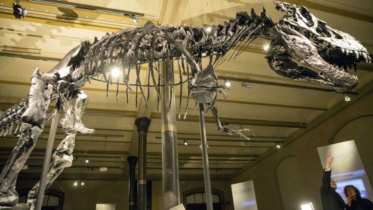 Dinozor İskeleti 1,2 Milyon Dolara Satıldı