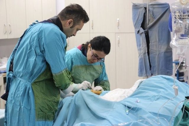 Tıp Fakültesi�nde El Bileğinden Koroner Anjiyografi İşlemi Uygulanmaya