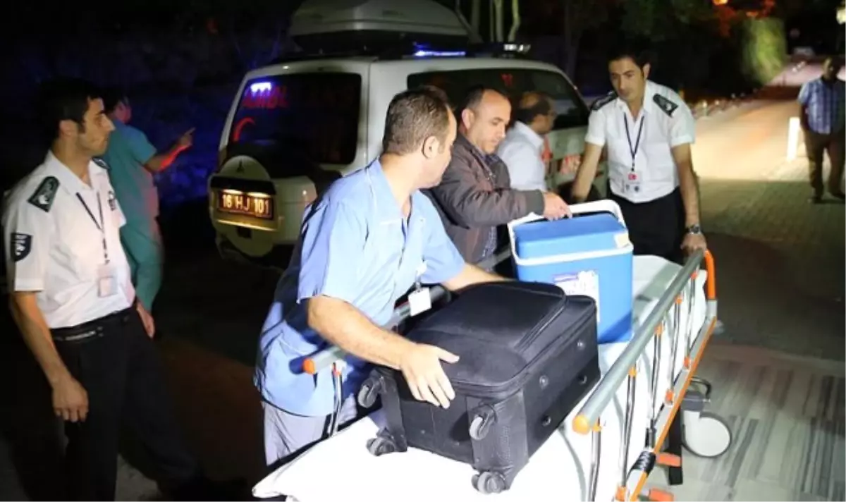 Bursa'da Organ Bağışı