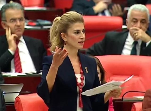 CHP'li Vekilden Hükümete 'Terör' Eleştirisi CHP'li Vekilden Hükümete 'Terör' Eleştirisi