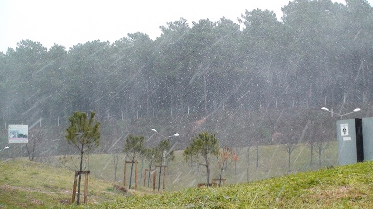 Meteoroloji Uyardı, İstanbul'da Kar Yağışı Başladı