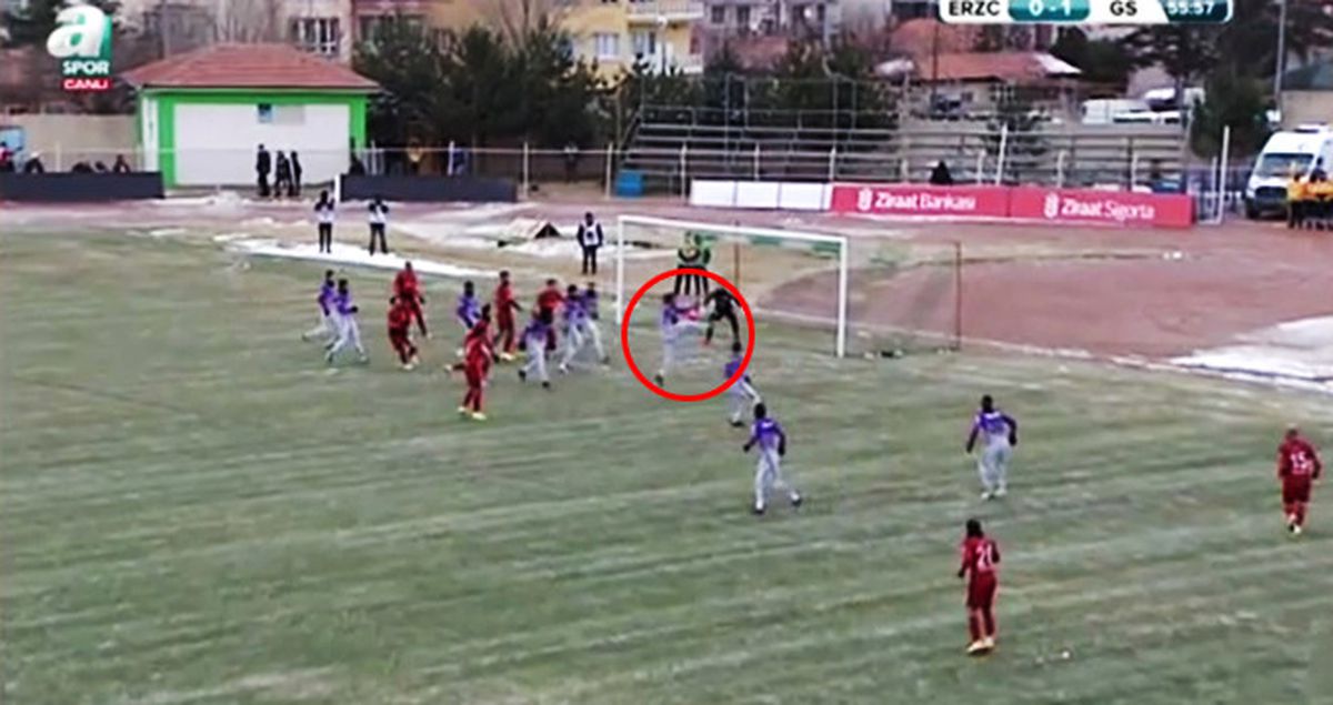Hamit Altıntop, Erzincan Maçında Saç Baş Yoldurdu
