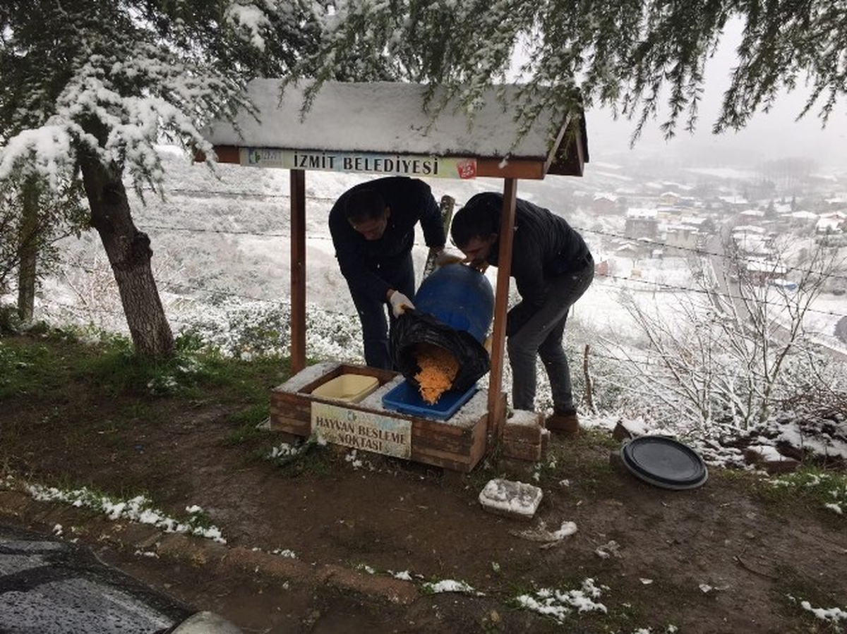 İzmit Zabıtası'ndan Sokak Hayvanlarına Yardım Eli