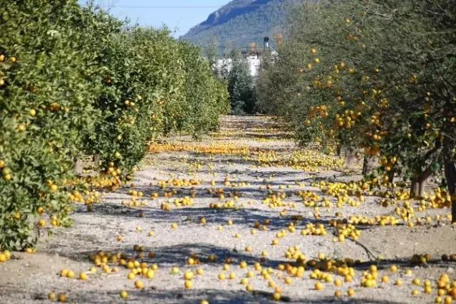 Mersin'de Şiddetli Fırtına Bin 500 Dönüm Arazide Zarara Yol Açtı