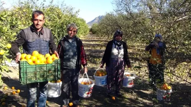 Mersin'de Şiddetli Fırtına Bin 500 Dönüm Arazide Zarara Yol Açtı