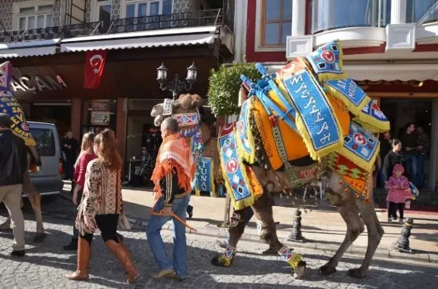 Develer Milas'ta Şehir Turuna Çıktı Develer Milas'ta Şehir Turuna Çıktı