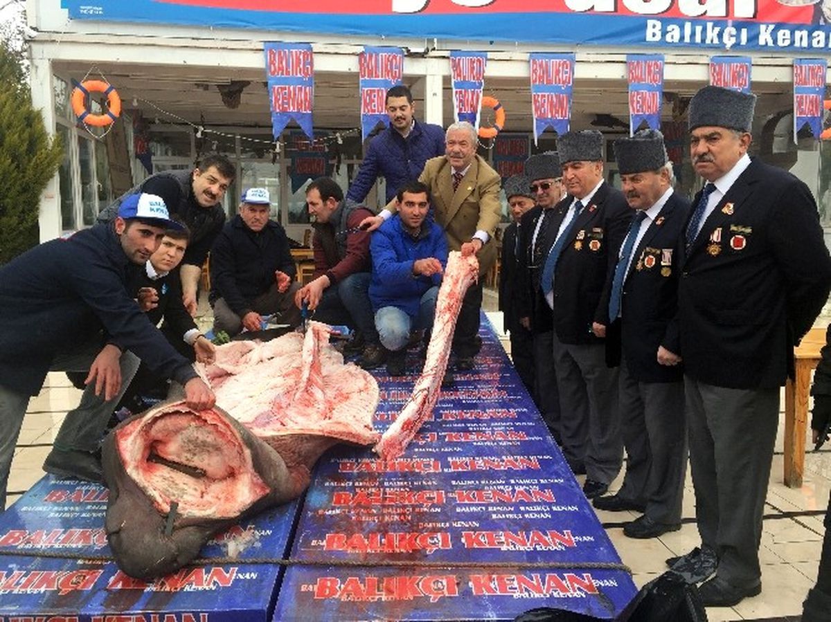 Beylikdüzü'nde Vatandaşlara Ekmek Arası Köpek Balığı Dağıtıldı