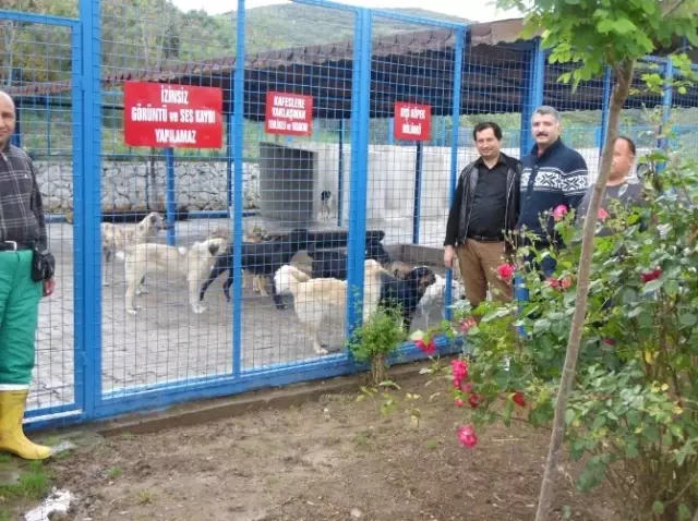 Milas'ta Belediyeden Sağlık Alanda Önemli Hizmet Milas'ta Belediyeden Sağlık Alanda Önemli Hizmet