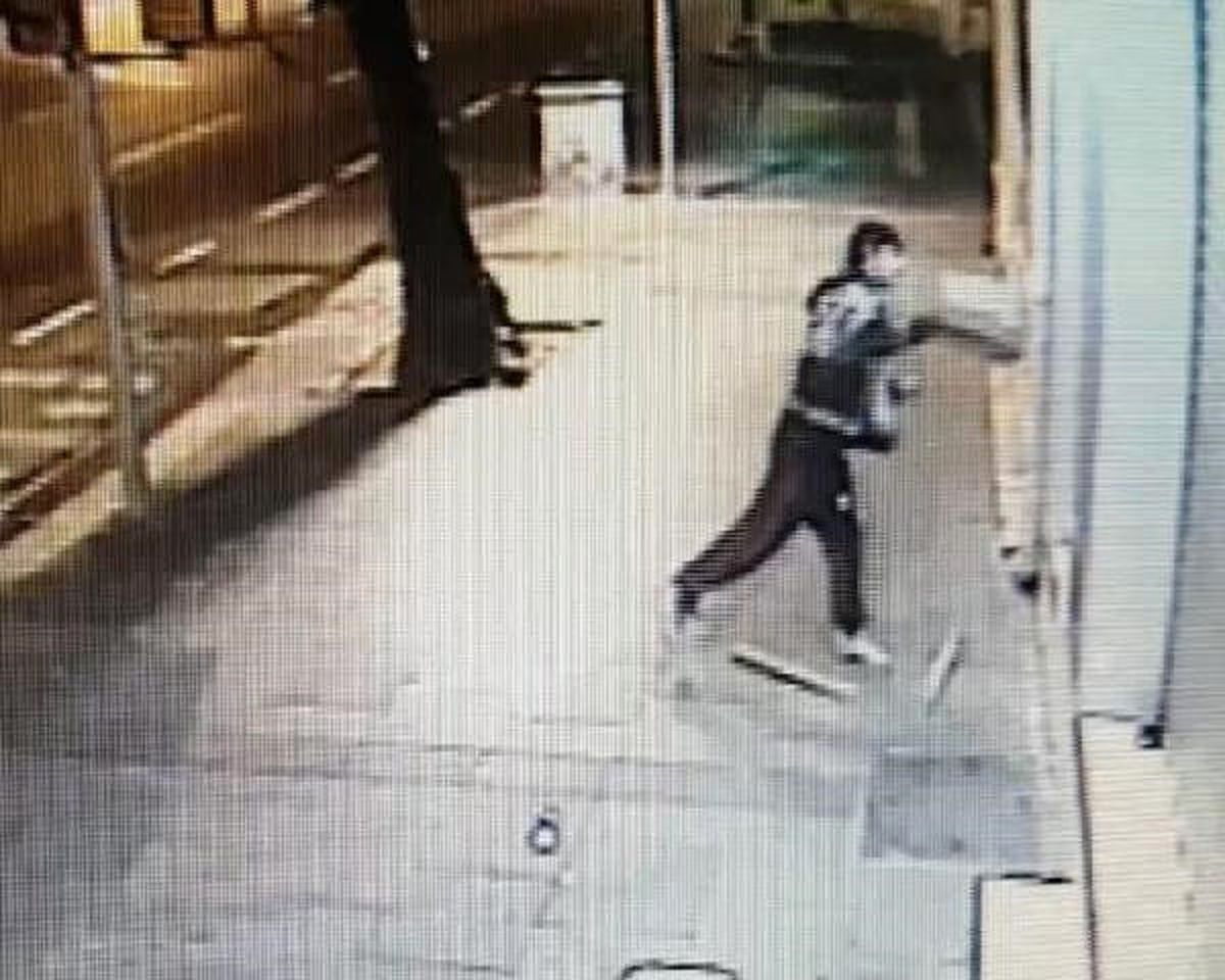 Alarm Çalmaya Başlayınca Kabloları Isırarak Susturdu