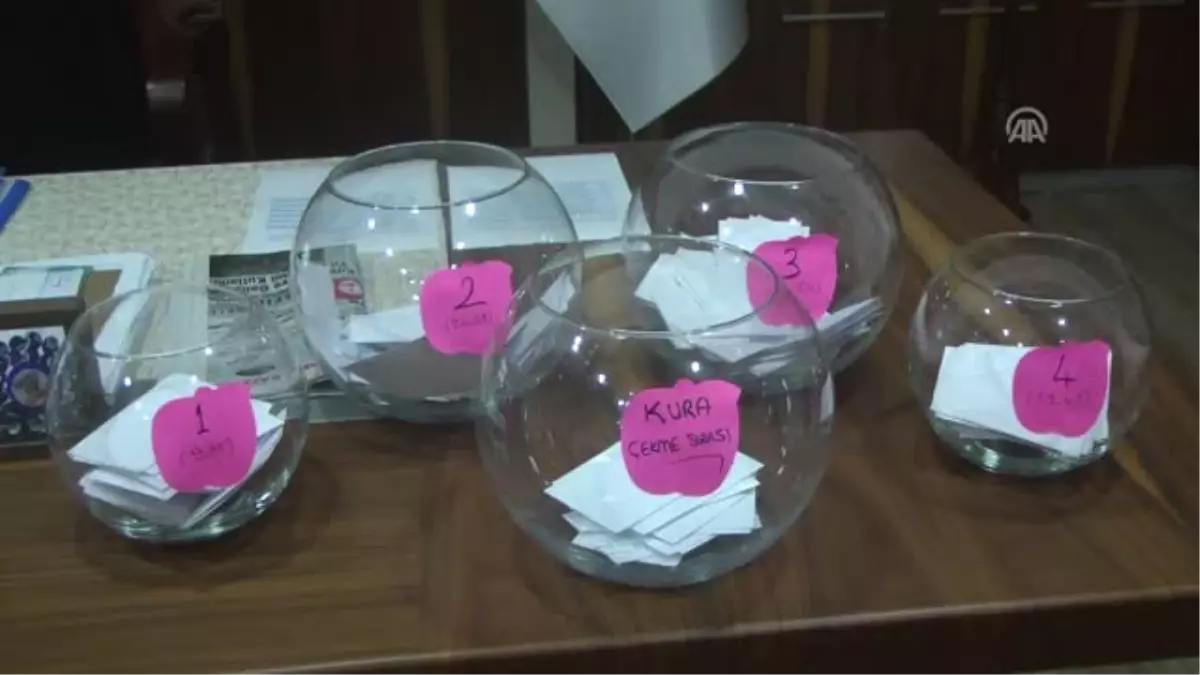 Damızlık Gebe Düveler Üreticilere Kurayla Verildi