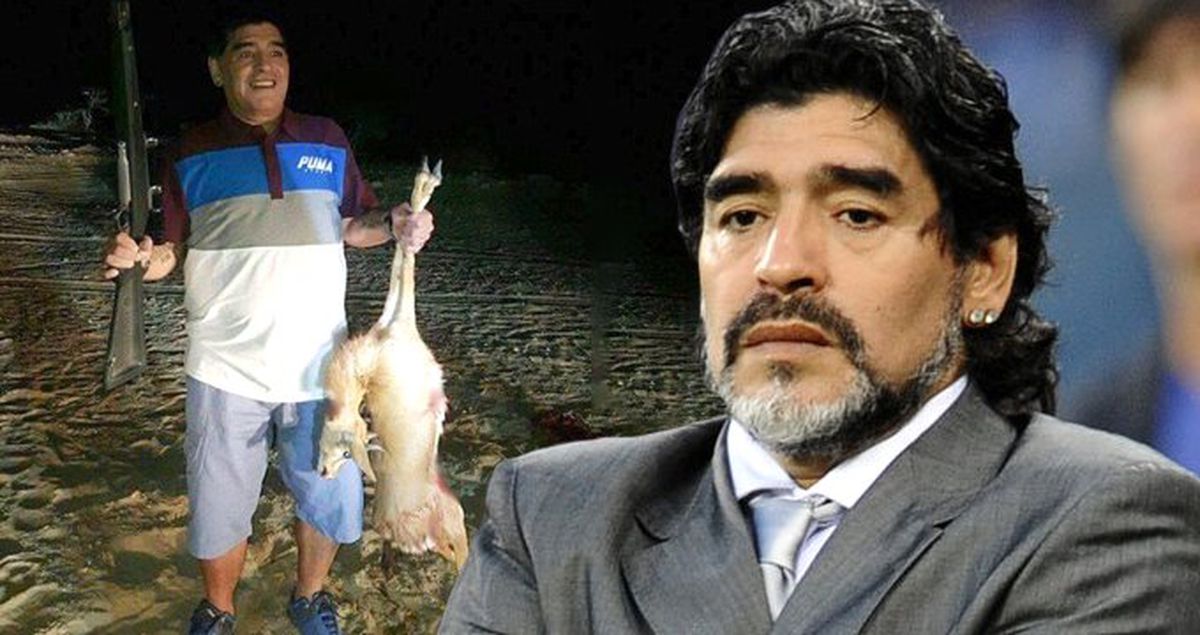 Türüne Az Rastlanan Antilobu Öldüren Maradona, Tepkilerin Odağında Yer Aldı