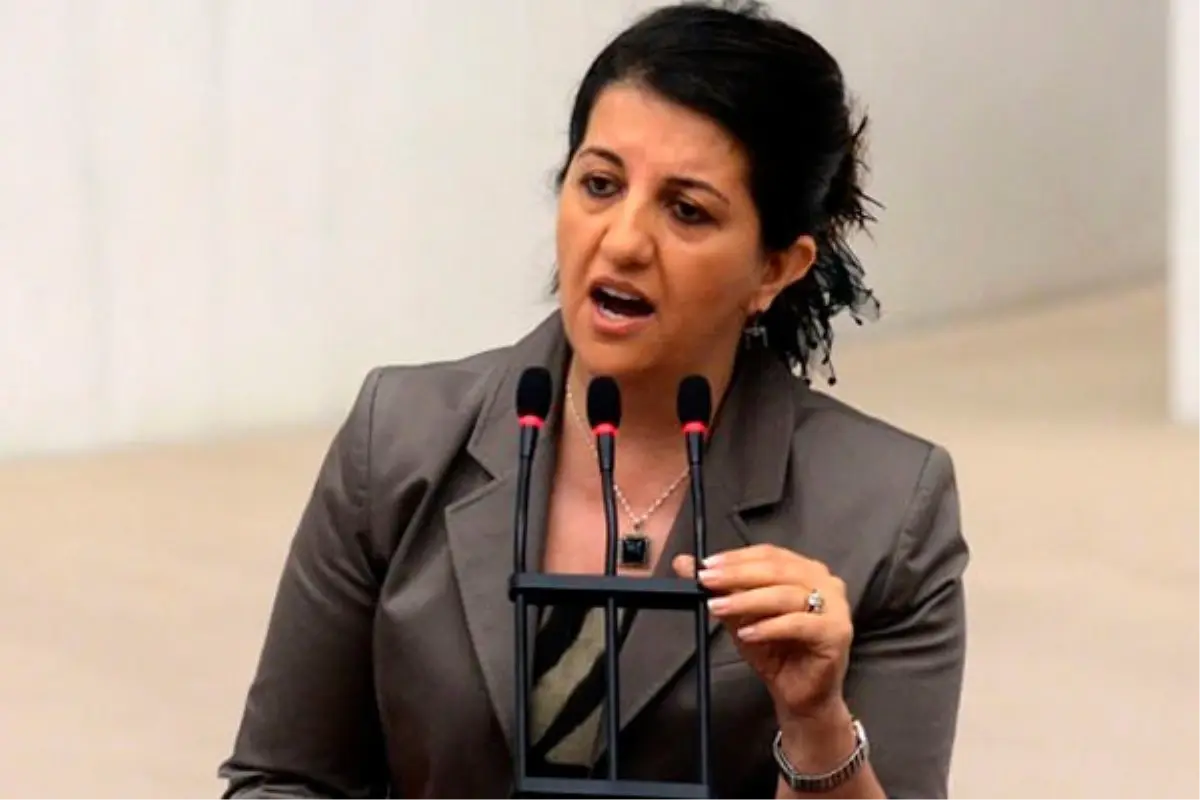 Gözaltına Alınan HDP'li Pervin Buldan Kimdir?