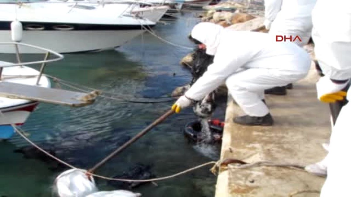 Izmir Çeşme'de Denize Sızan Yakıt Kirliliği Temizleniyor