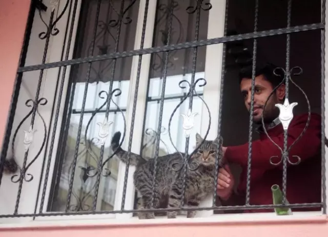 Çıplak Ayakla Kedi Kurtarma Operasyonu