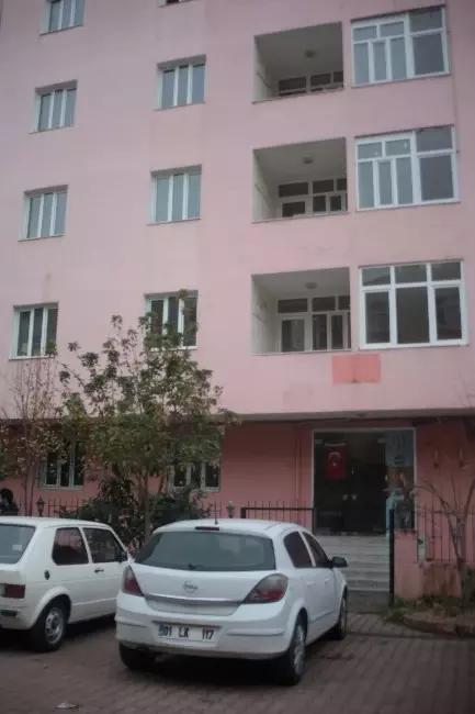 Çıplak Ayakla Kedi Kurtarma Operasyonu