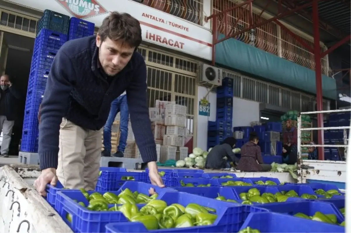 Antalya'da Çiftçi Rus Pazarının Açılmasını Bekliyor