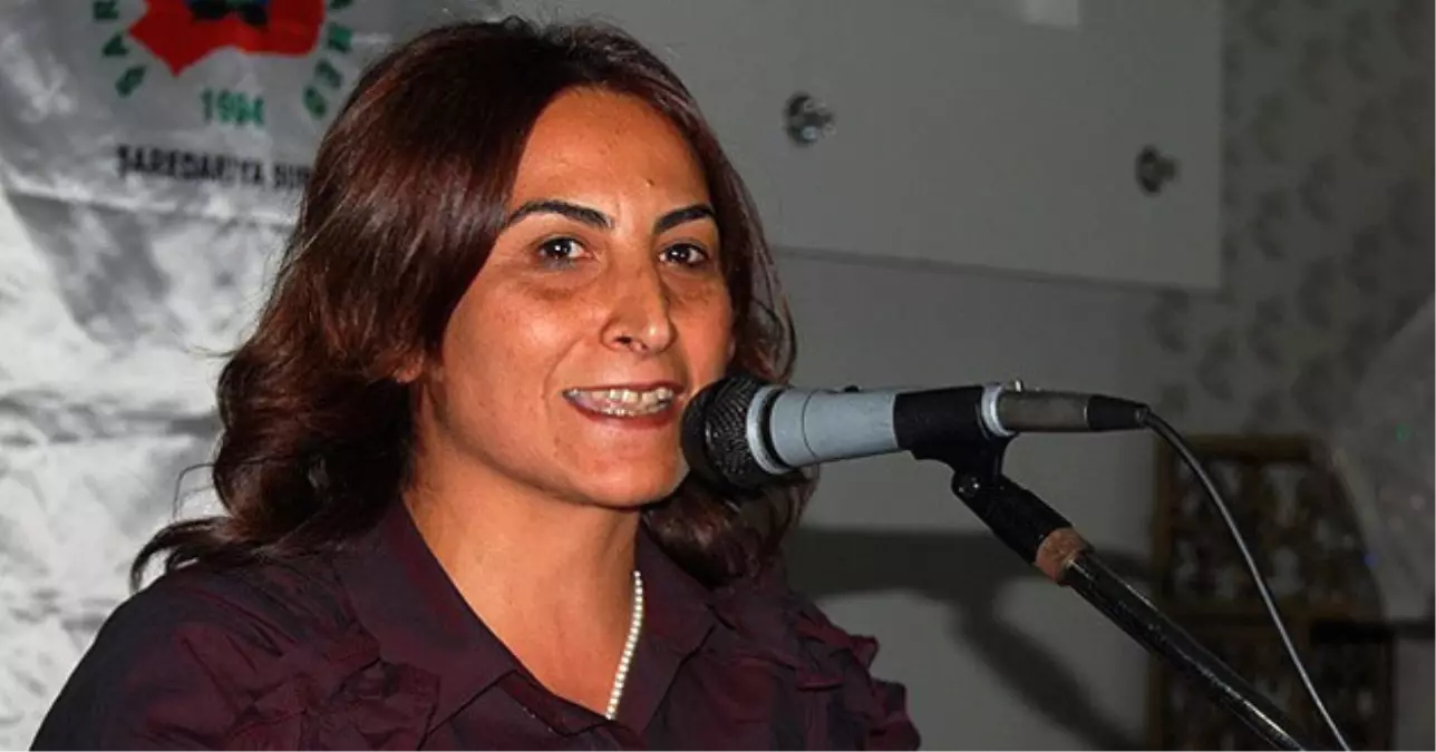 Gözaltına Alınan HDP'li Aysel Tuğluk Kimdir?