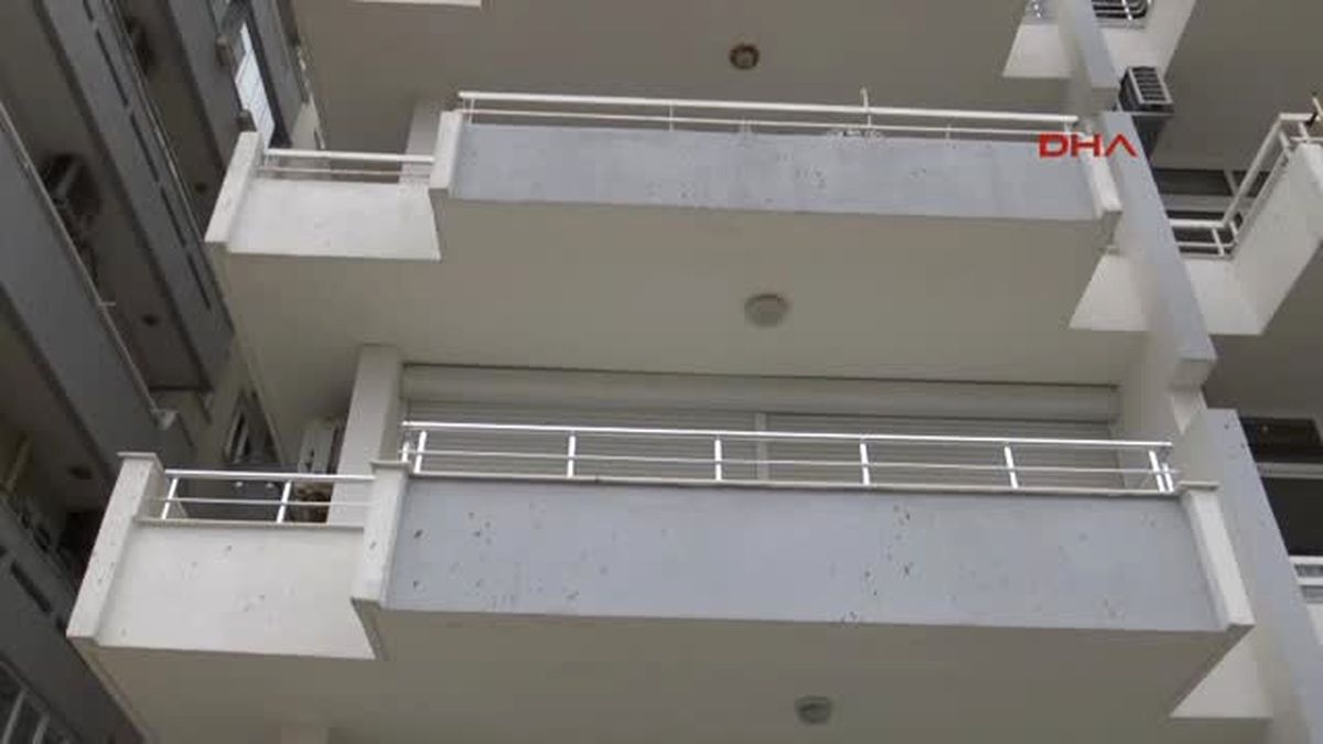 Antalya'da Yarasa Pisliği Mahalleyi Ikiye Böldü