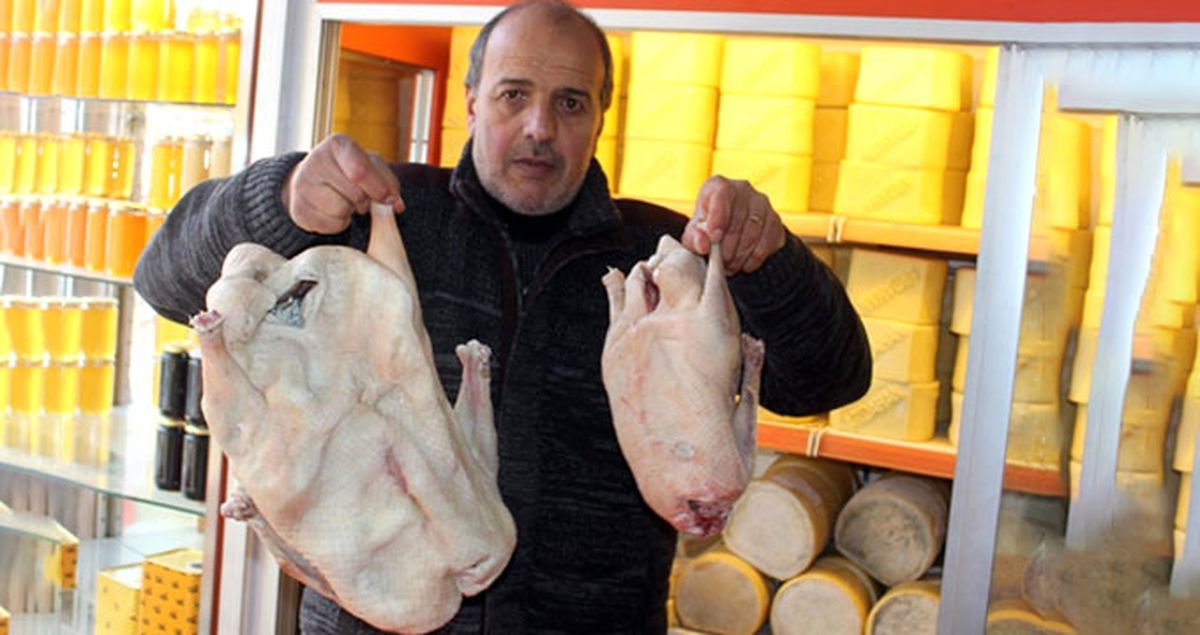Ardahan'da Yaklaşık 7 Kiloluk Kaz Görenleri Şaşırttı