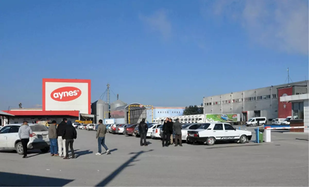 Aynes FETÖ'cü mü? Aynes'e FETÖ Operasyonu