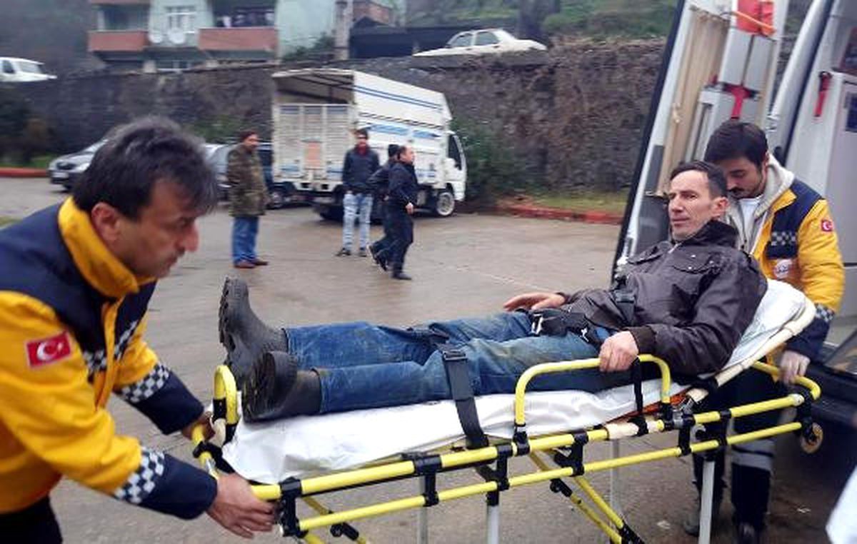 Hibe Edilen Angusun Teptiği Çiftçi Yaralandı
