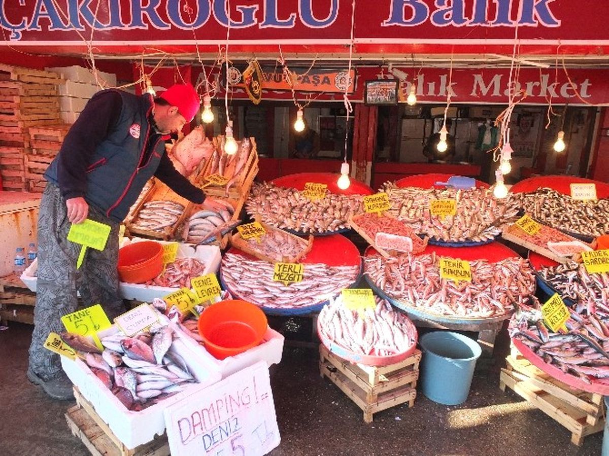 Marmara'da Fırtına Sonrası Balık Bereketi...