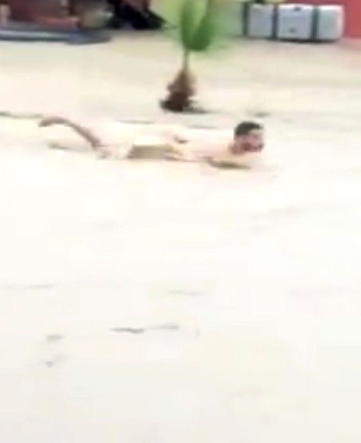 Sele Teslim Olan Mersin'den Bir Garip Görüntü! Soyundu Sele Daldı