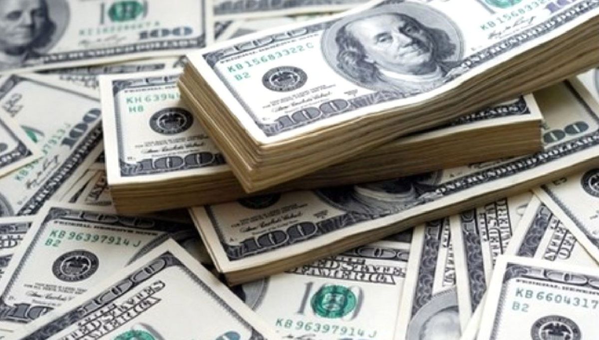 2016'da Dolar 60 Kuruş, Euro 55 Kuruş Değerlendi