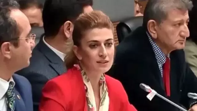 CHP'li Engin'den AK Parti ve MHP'ye Anayasa Eleştirisi CHP'li Engin'den AK Parti ve MHP'ye Anayasa Eleştirisi