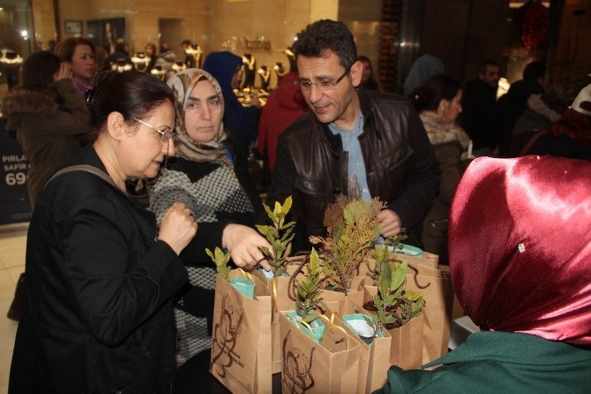 Samsun'da 4 Bin Fidan Dağıtıldı