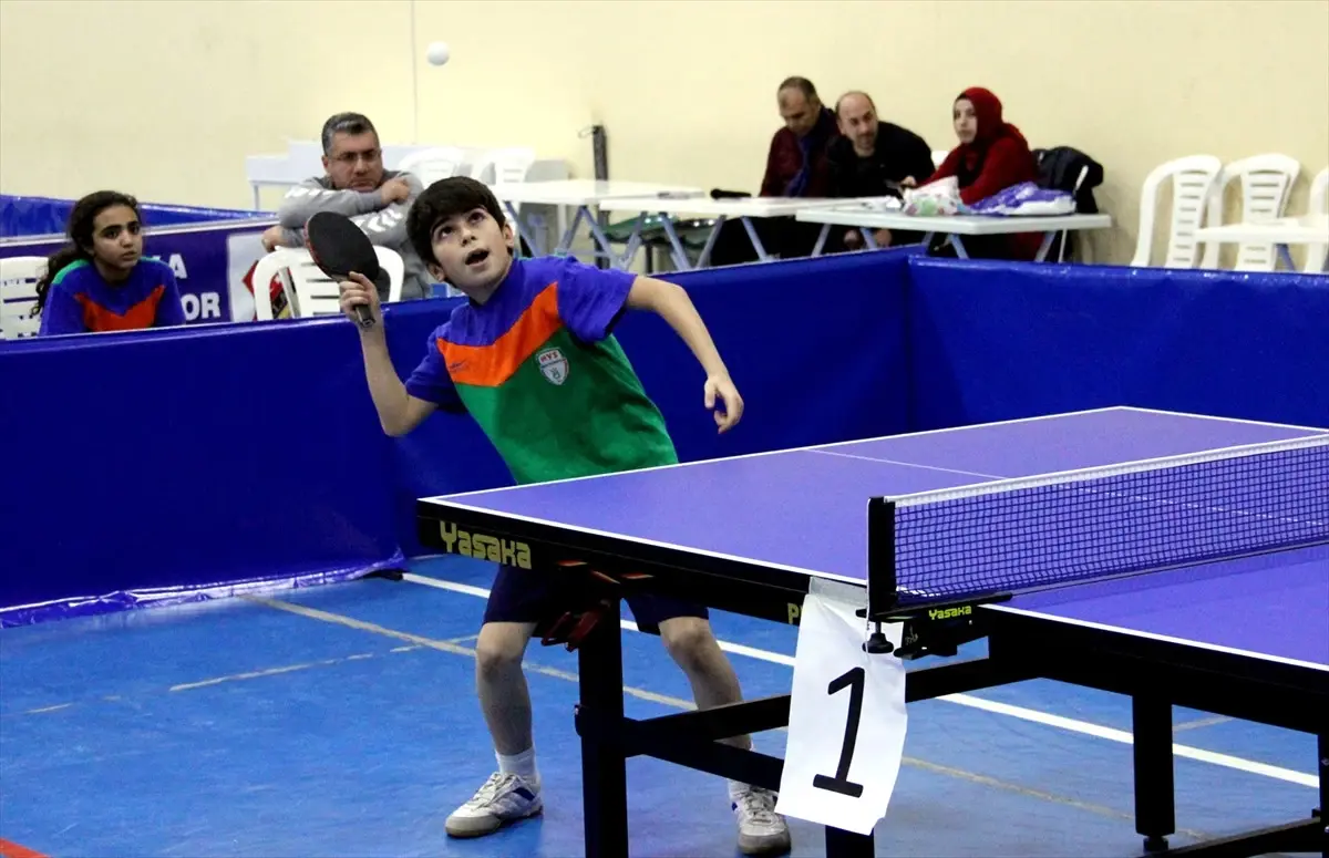 Masa Tenisi Spor