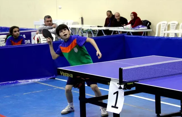 Masa Tenisi Spor