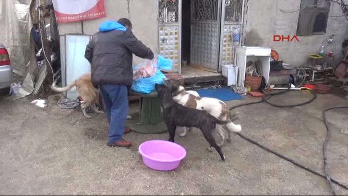 Savcı Kaya, Hayatını Kurtaran Can Dostlarına Sahip Çıkıyor