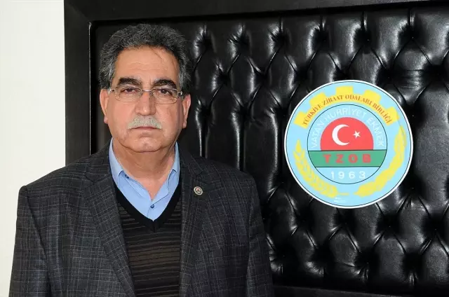 Cumhurbaşkanı Erdoğan'ın Müjdesi Bingöllüleri Sevindirdi Cumhurbaşkanı Erdoğan'ın Müjdesi Bingöllüleri Sevindirdi