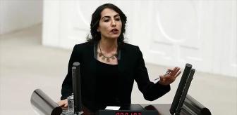 HDP'li Öztürk'e İkinci Kez Müebbet İstemi