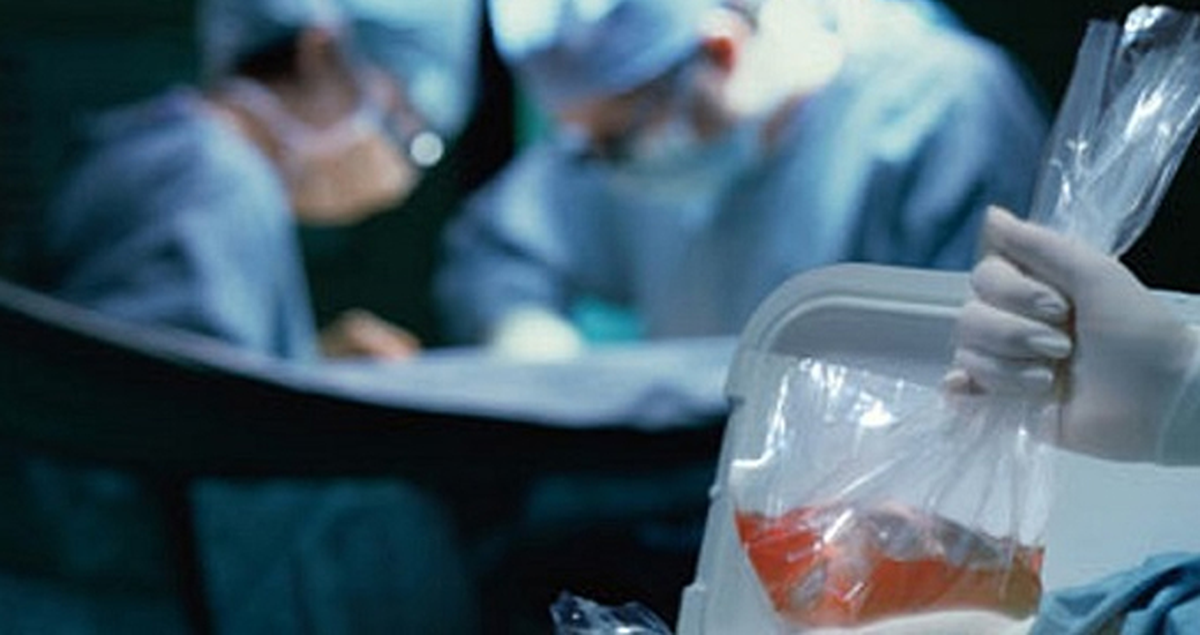 Otomatik Organ Bağışı Kararı, Fransa'da Tartışma Yarattı!