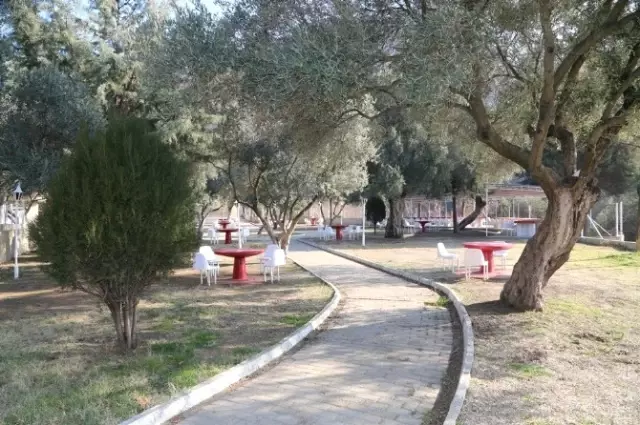 Çayyüzü Şehitliği Kırmızı-beyaz Renklere Boyandı Çayyüzü Şehitliği Kırmızı-beyaz Renklere Boyandı
