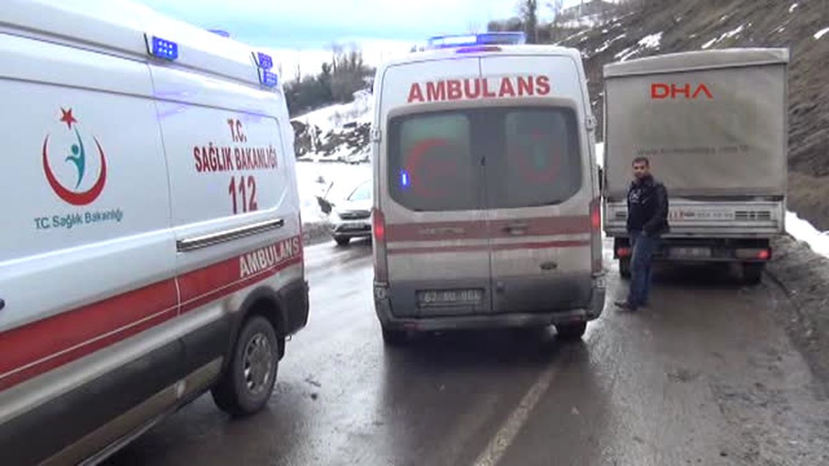 Freni Boşalan Tır Devrildi, Sürücü Öldü