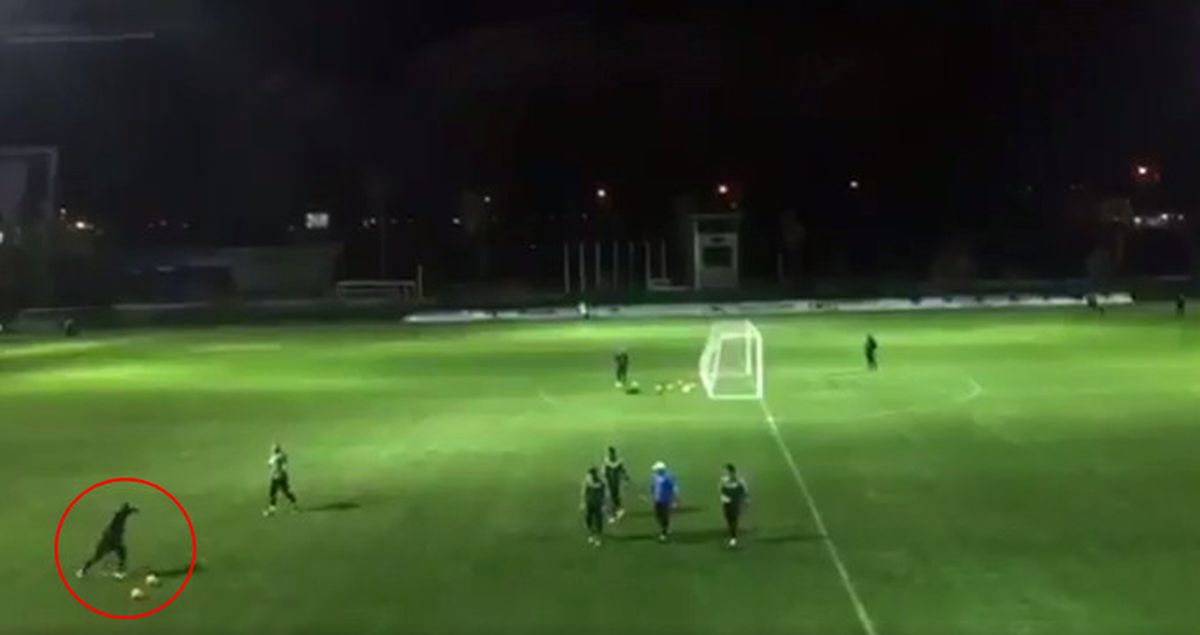 Hamza Hamzaoğlu, Antrenmanda Attığı Müthiş Golle Ses Getirdi