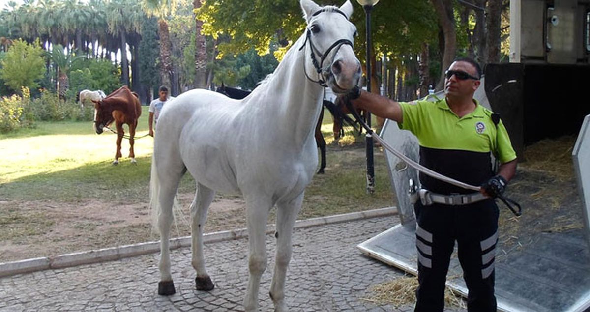 Katliamı Önleyen Kahraman Polisin Çocuklarına Burs Verilecek