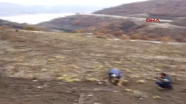 Manisa'da Bulunan 26 Bin Yıllık Fosil Ayak İzleri Talan Ediliyor Manisa'da Bulunan 26 Bin Yıllık Fosil Ayak İzleri Talan Ediliyor