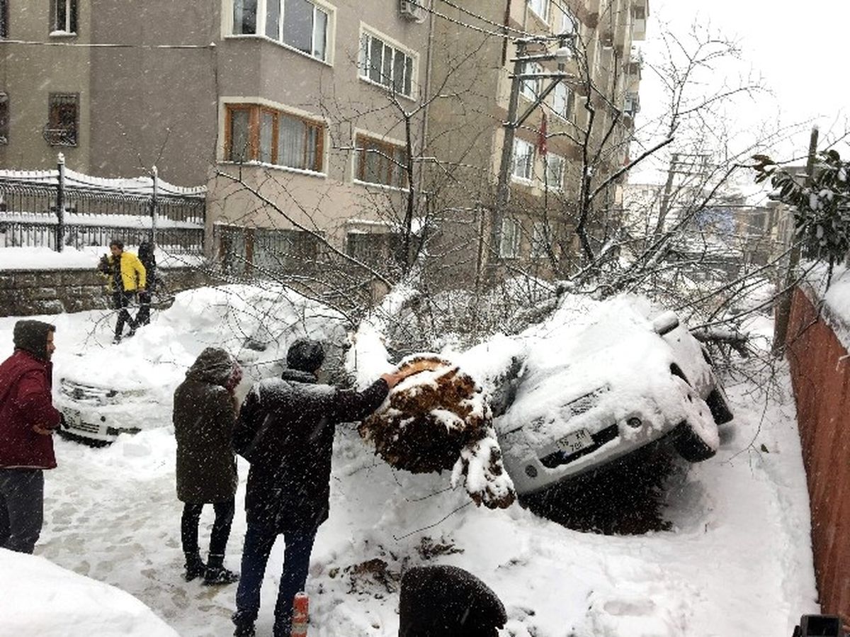 Kar Yağışına Dayanamayan Asırlık Ağaç, Araçların Üzerine Devrildi