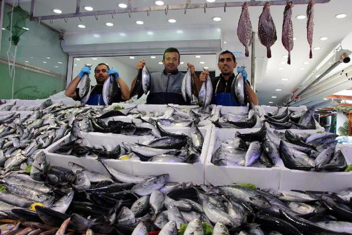 Palamut Avında Bu Sezon Rekor Kırıldı